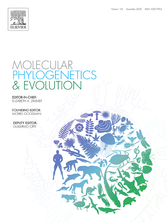 molecular.jpg picture