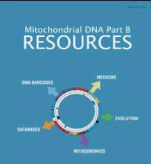 2470-1394.png picture