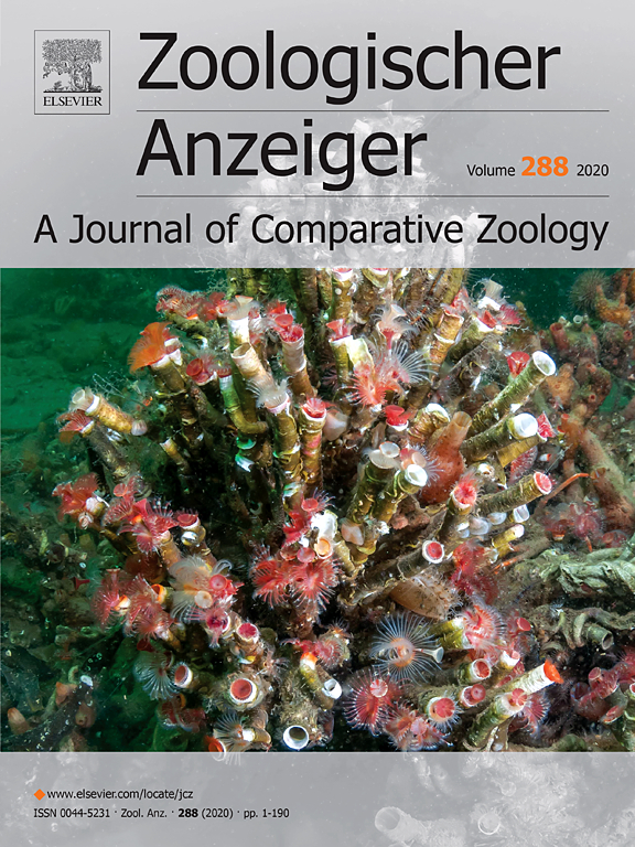 zoologischer.jpg picture