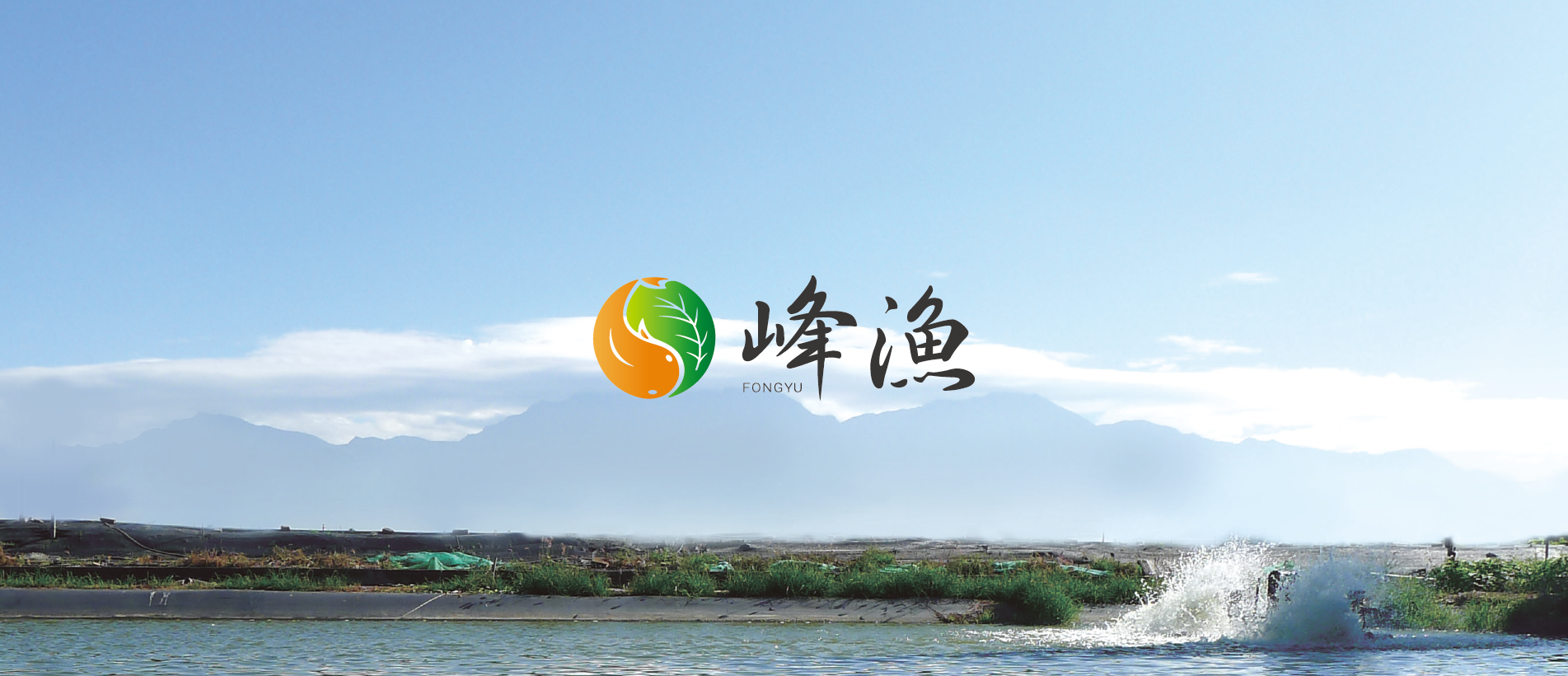 202202081616354evk7.png picture